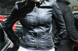 跨国合作应对上海登革热疫情